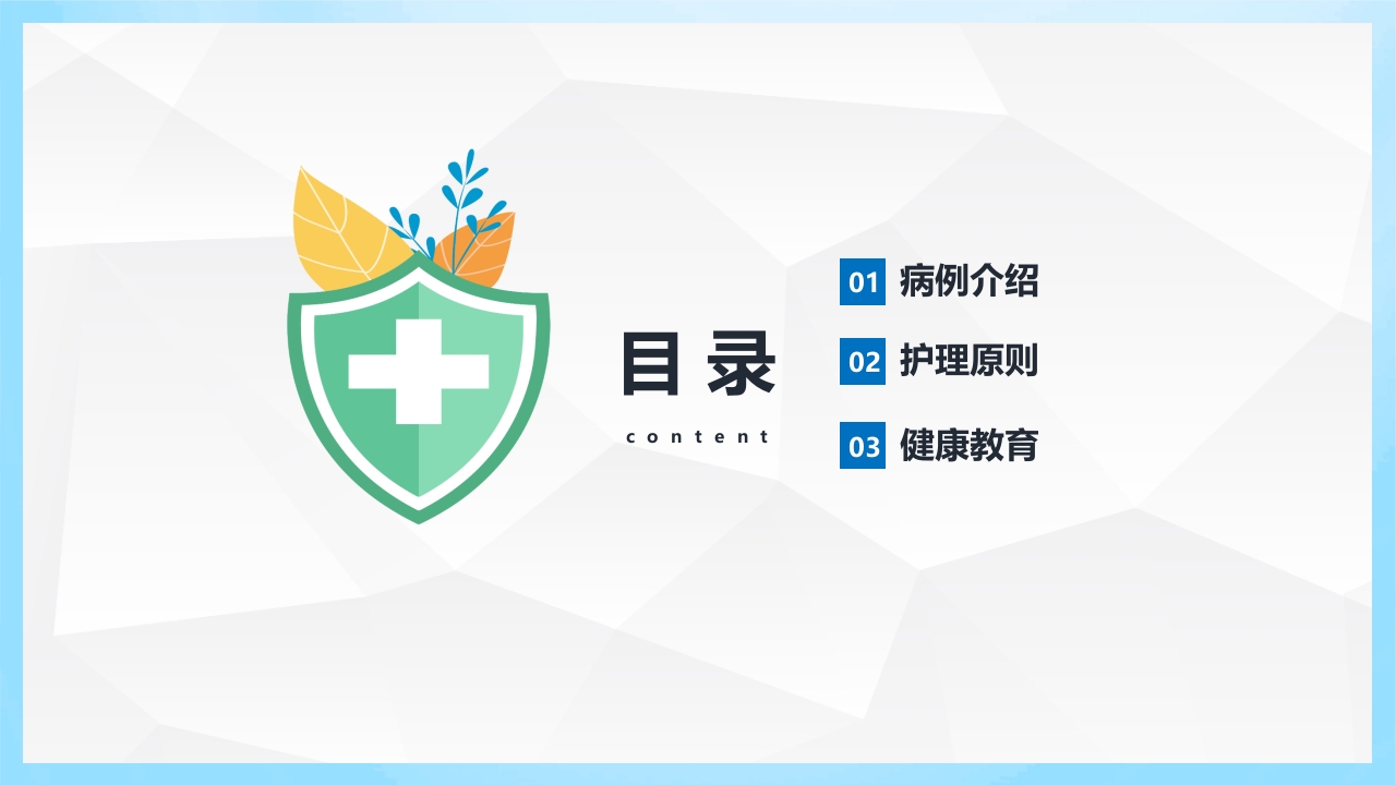 血透导管置管术的护理查房PPT课件2