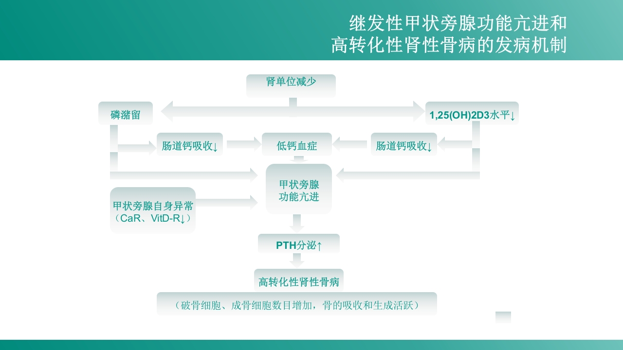 慢性肾病-矿物质和骨代谢紊乱PPT课件8