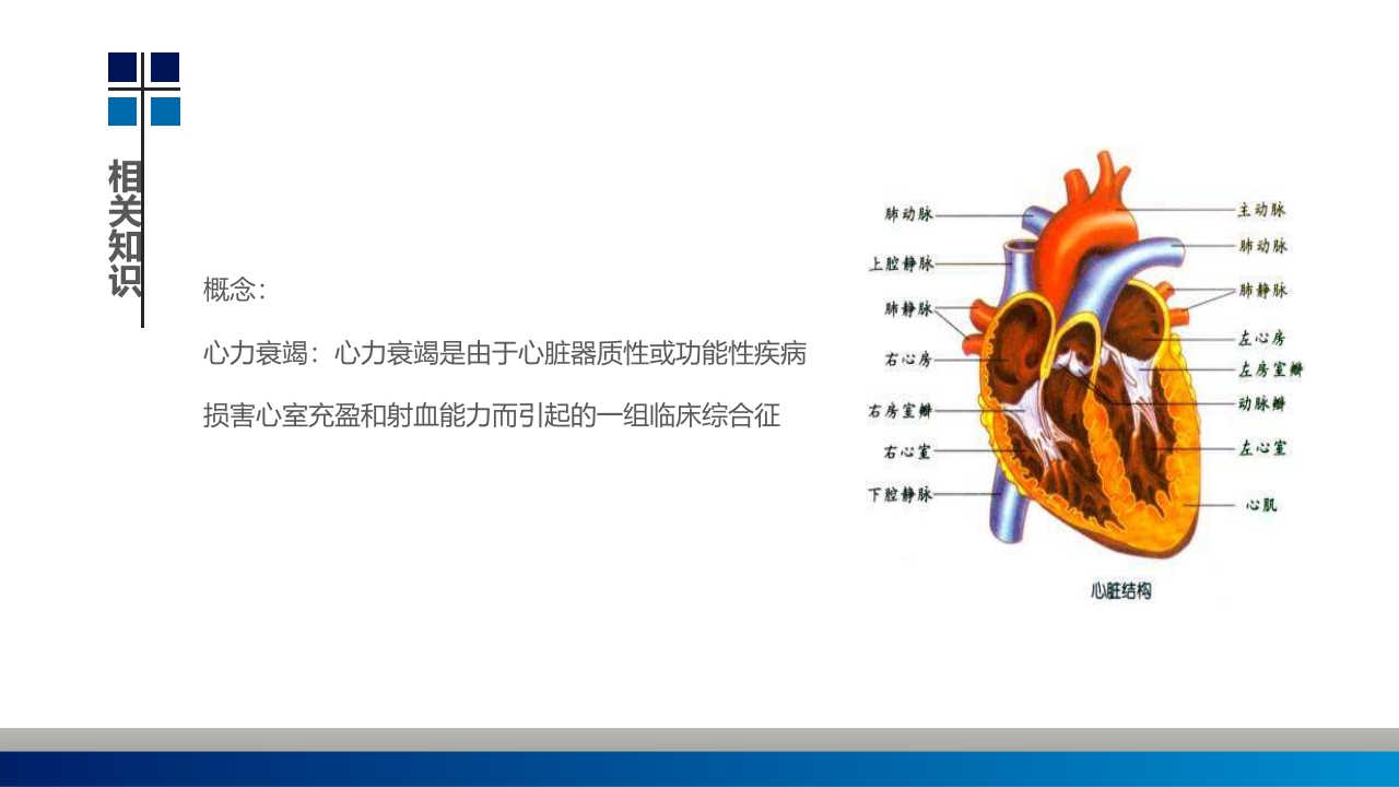 血透病人心力衰竭护理查房PPT课件3