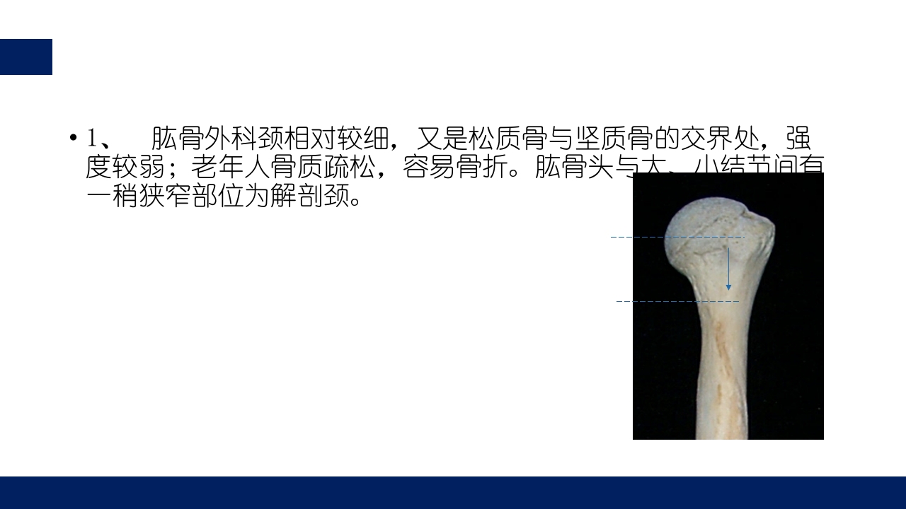 肱骨外科颈骨折PPT课件13