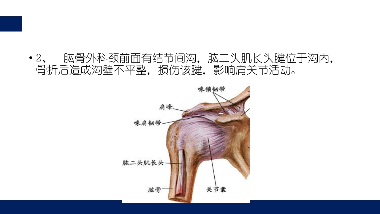 肱骨外科颈骨折PPT课件14