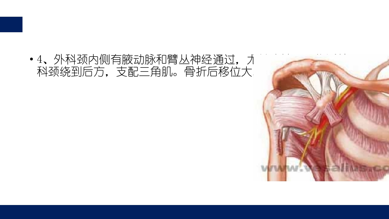 肱骨外科颈骨折PPT课件16