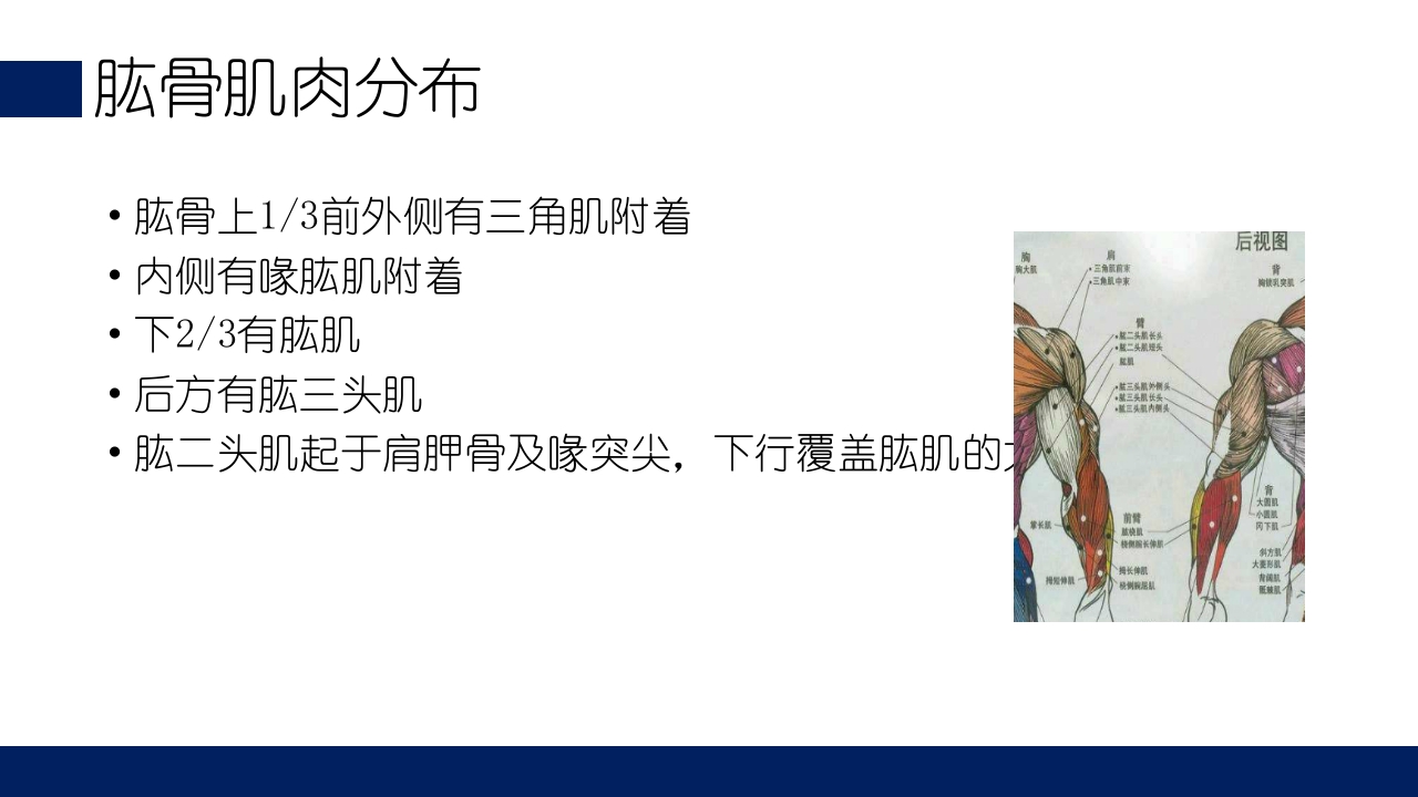 肱骨外科颈骨折PPT课件8