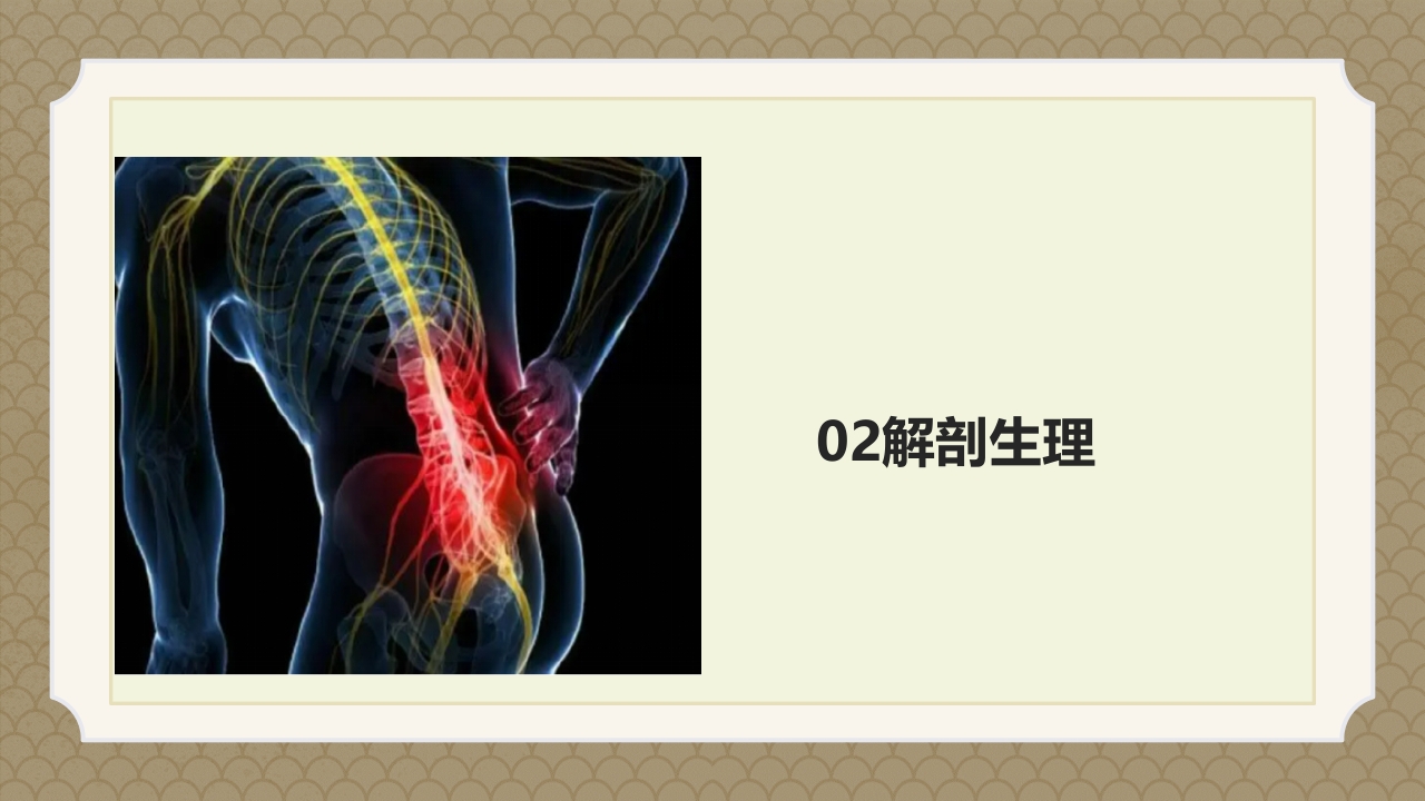 腰椎间盘突出症中医辨证论治ppt课件5