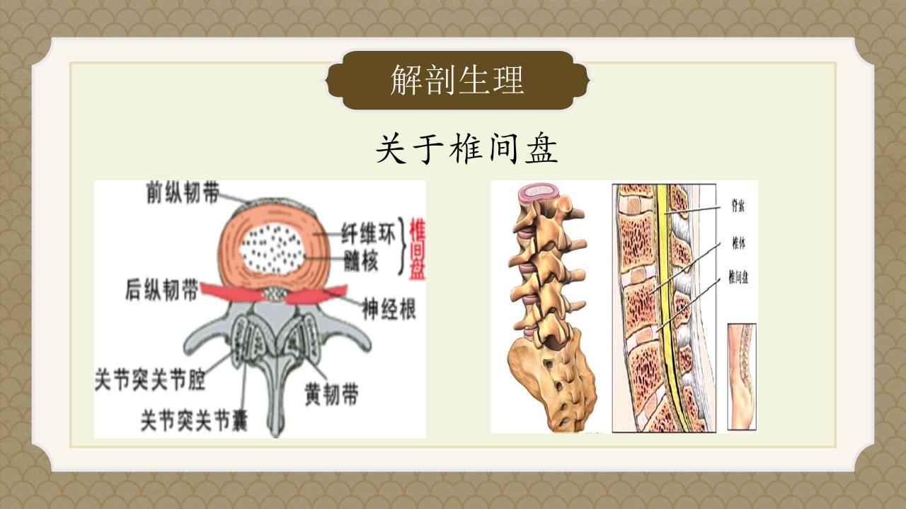 腰椎间盘突出症中医辨证论治ppt课件7