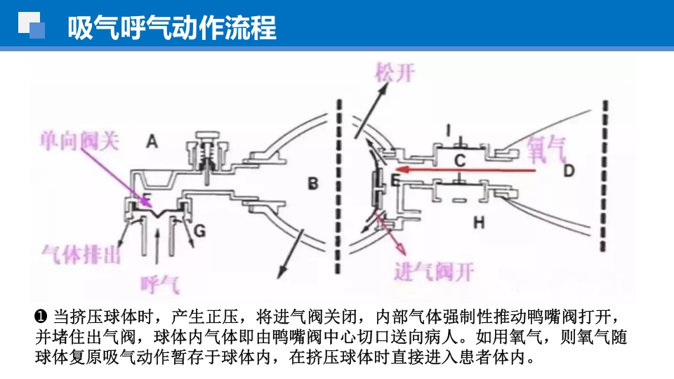 简易呼吸球囊的临床应用ppt课件16