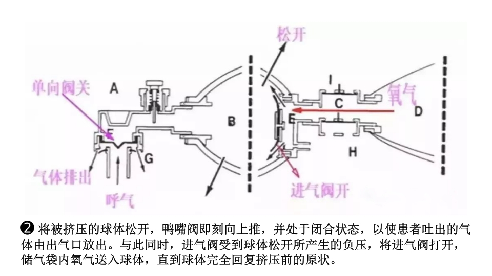 简易呼吸球囊的临床应用ppt课件17