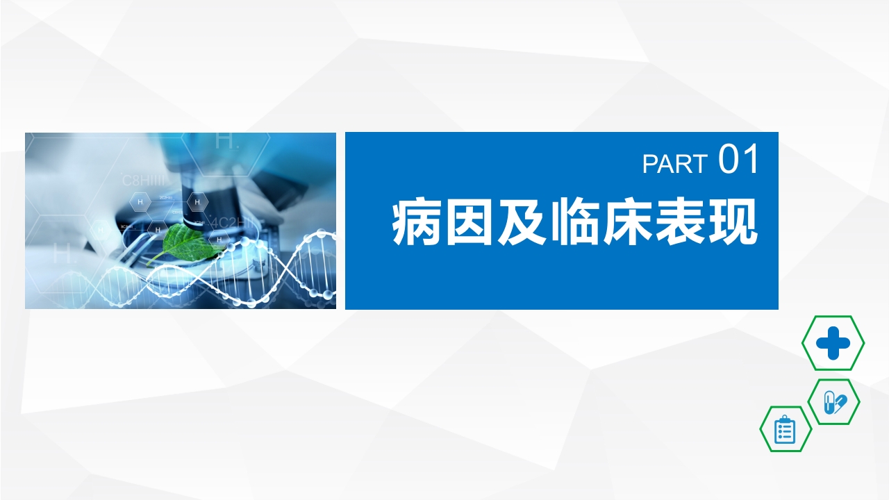 脑出血的护理PPT课件5