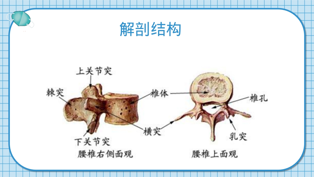 腰2椎体爆裂骨折并不全瘫痪护理查房PPT课件4