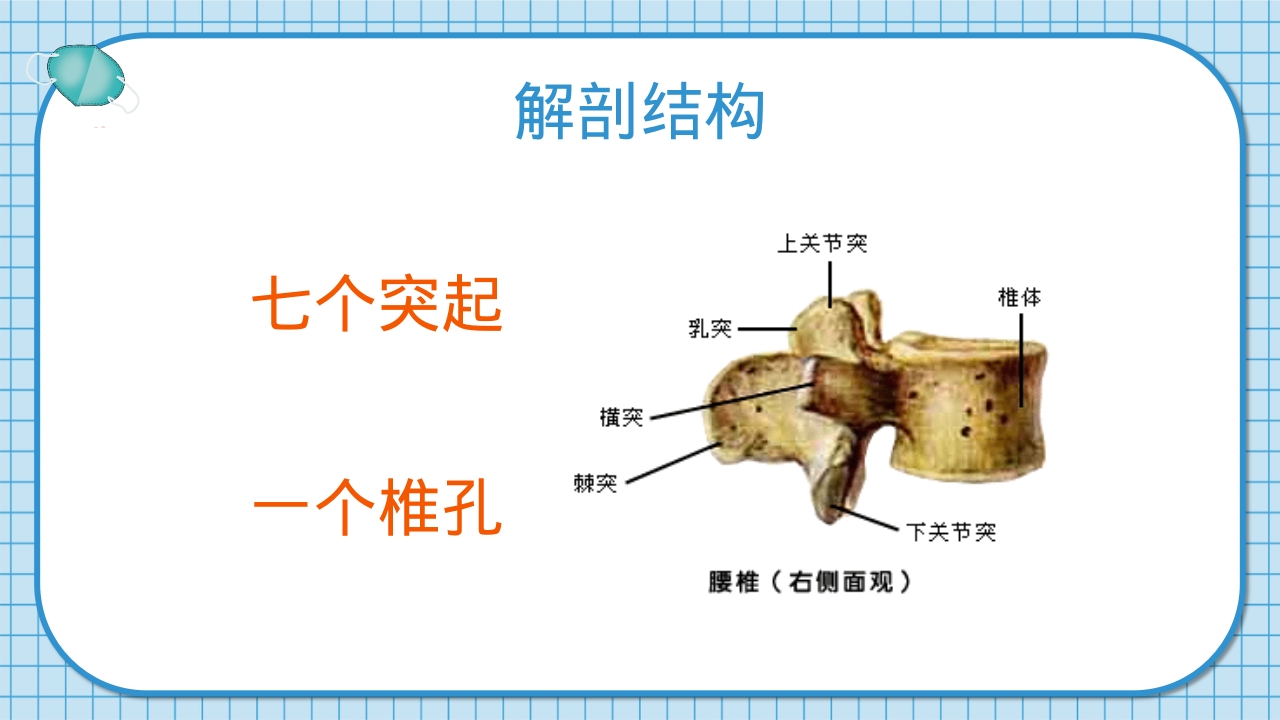 腰2椎体爆裂骨折并不全瘫痪护理查房PPT课件5