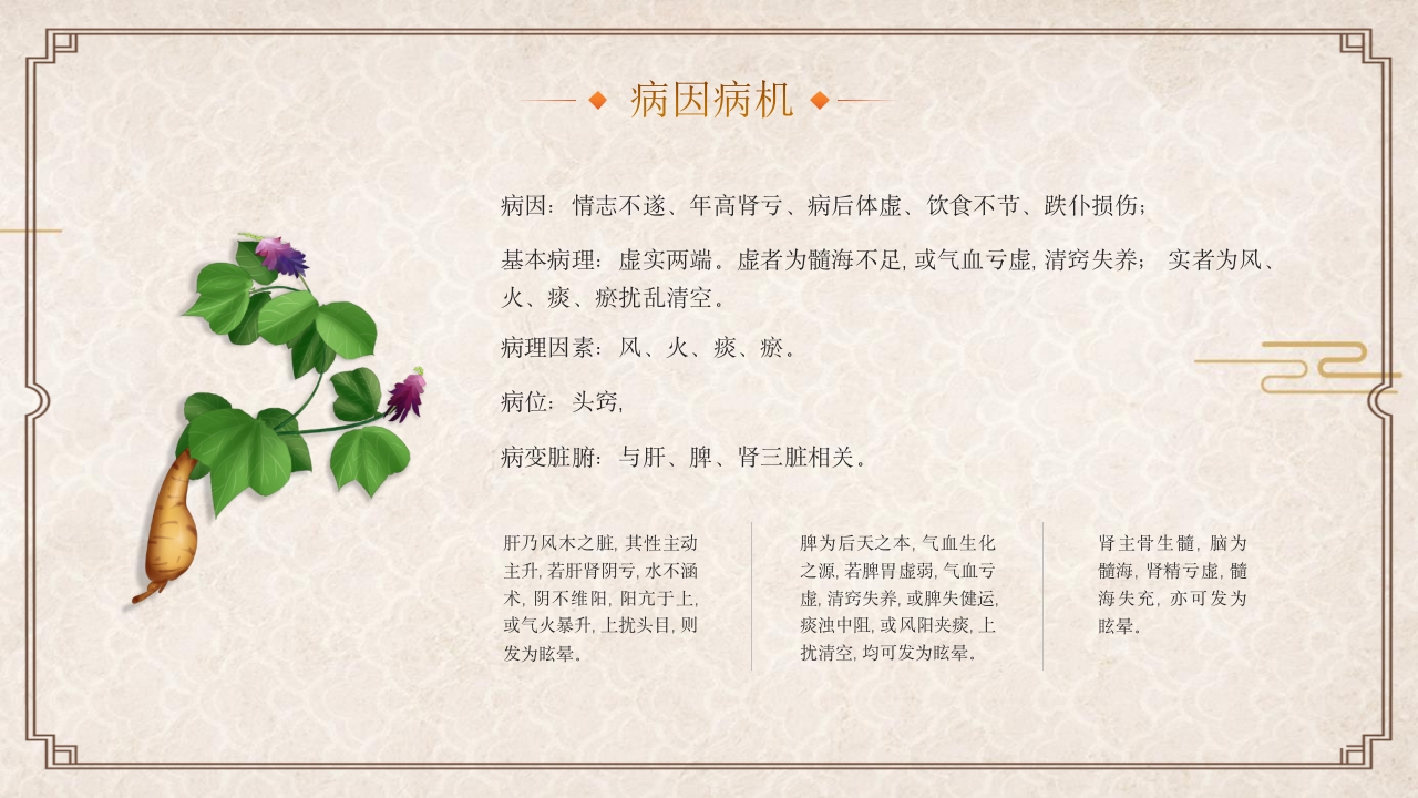 中医眩晕知识普识PPT课件12