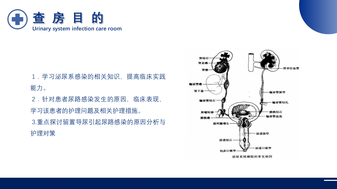 泌尿系统感染护理查房PPT课件6