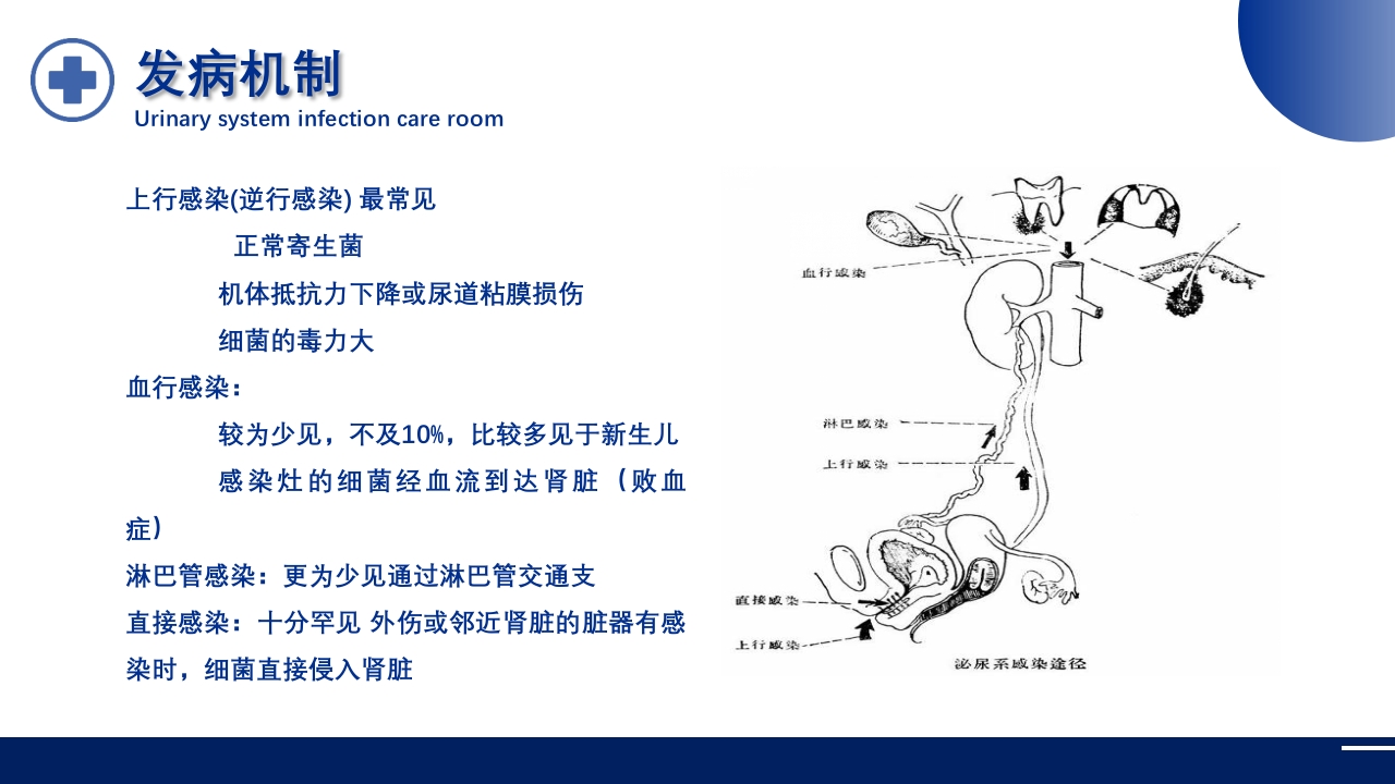 泌尿系统感染护理查房PPT课件9