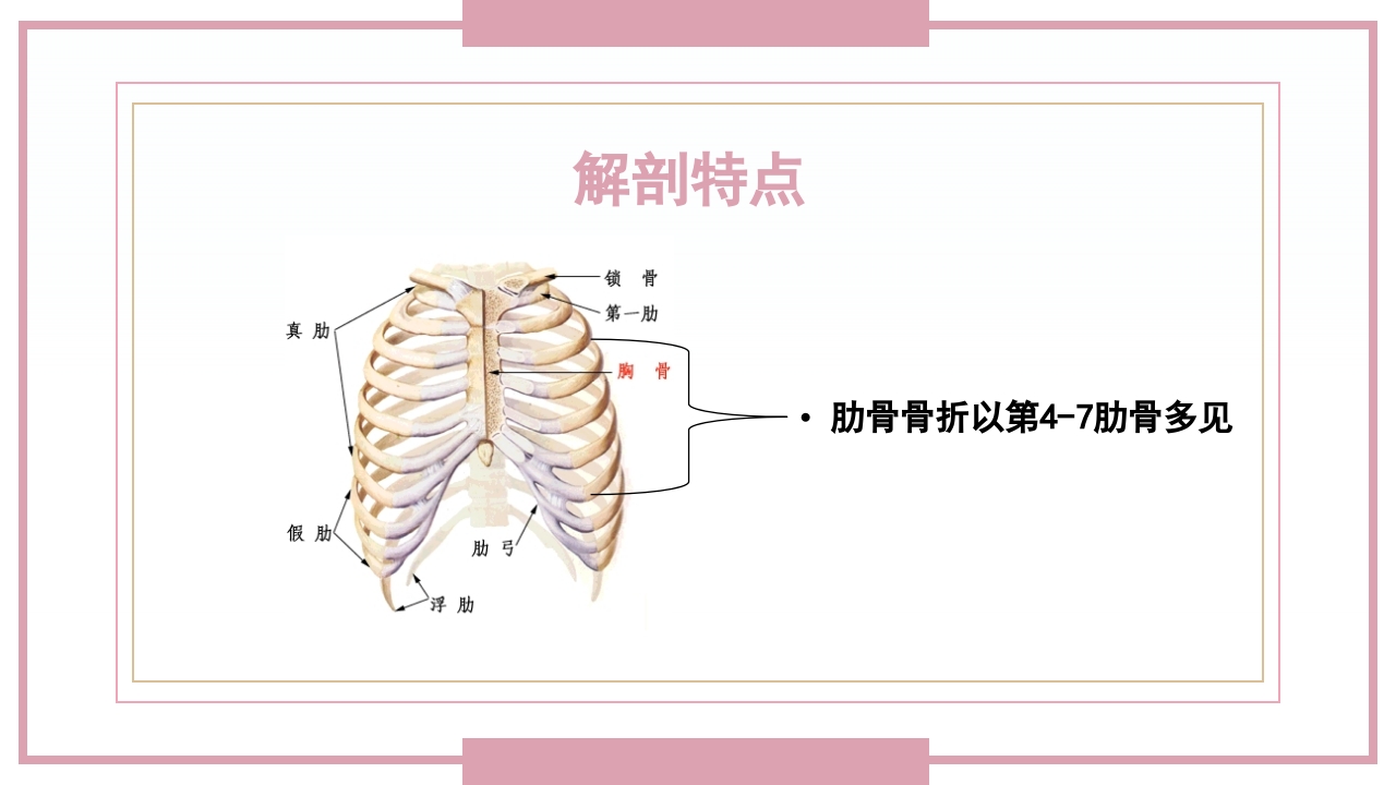肋骨骨折病人的护理PPT课件4