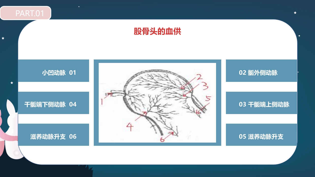 股骨颈骨折护理查房PPT课件9