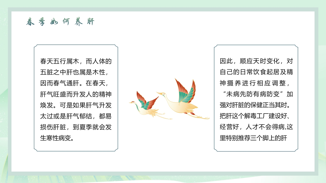 中国风春季养生PPT课件13