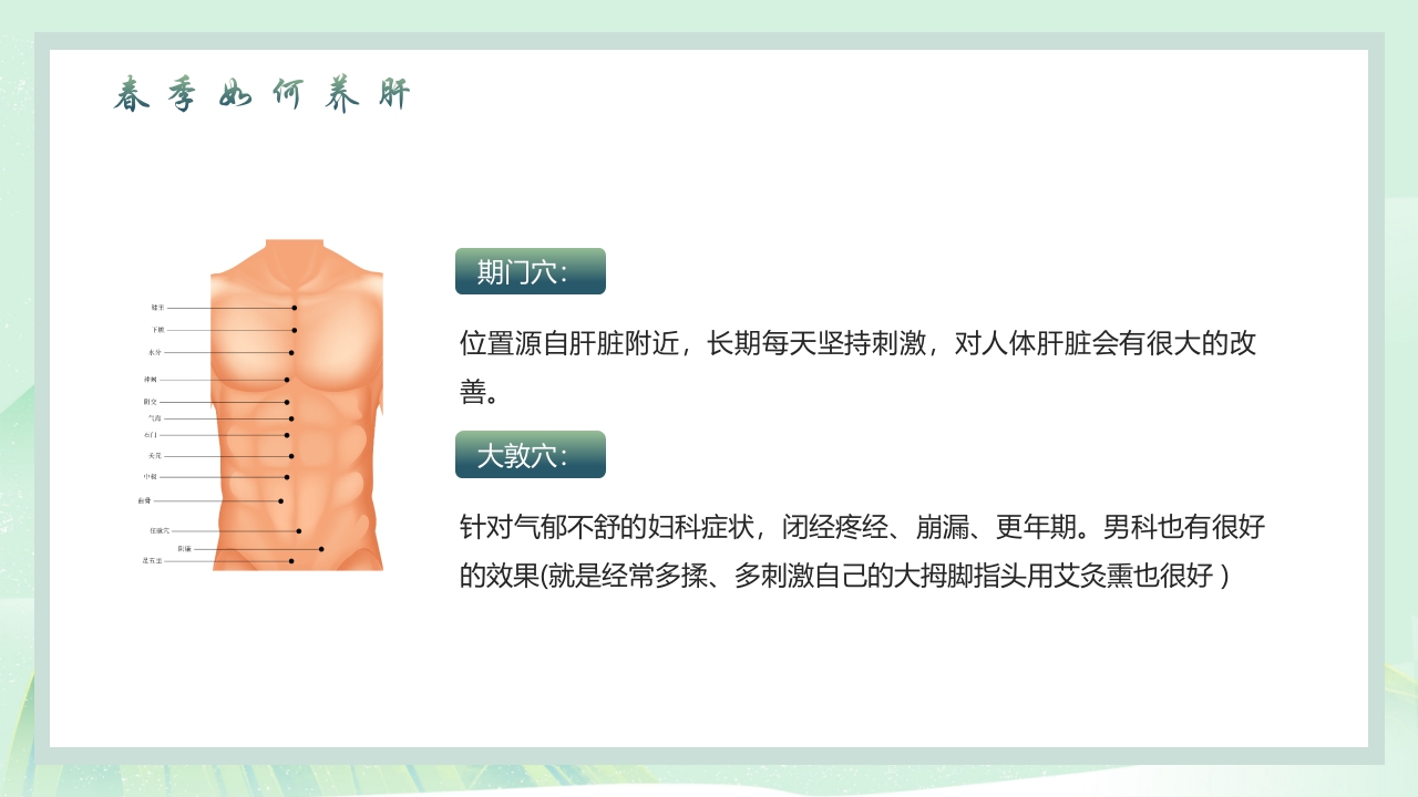 中国风春季养生PPT课件17