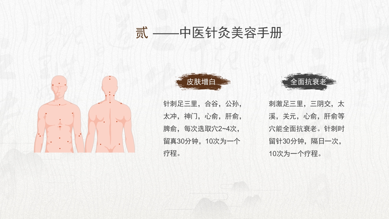 中医养生针灸美容主题PPT课件10