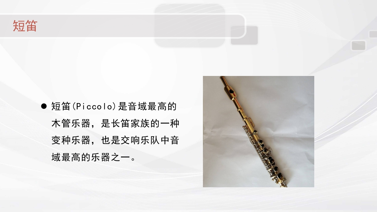 认识西洋乐器PPT课件19