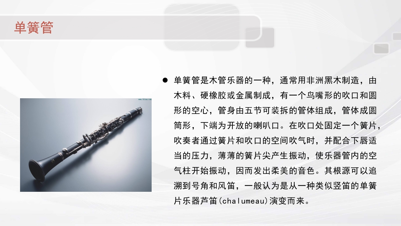 认识西洋乐器PPT课件20