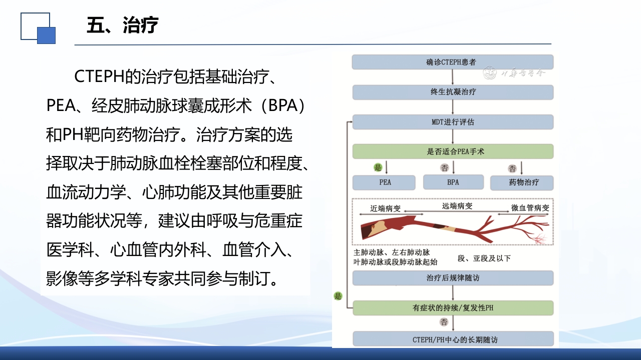 2024年急性心房颤动中国急诊管理指南解读PPT课件39