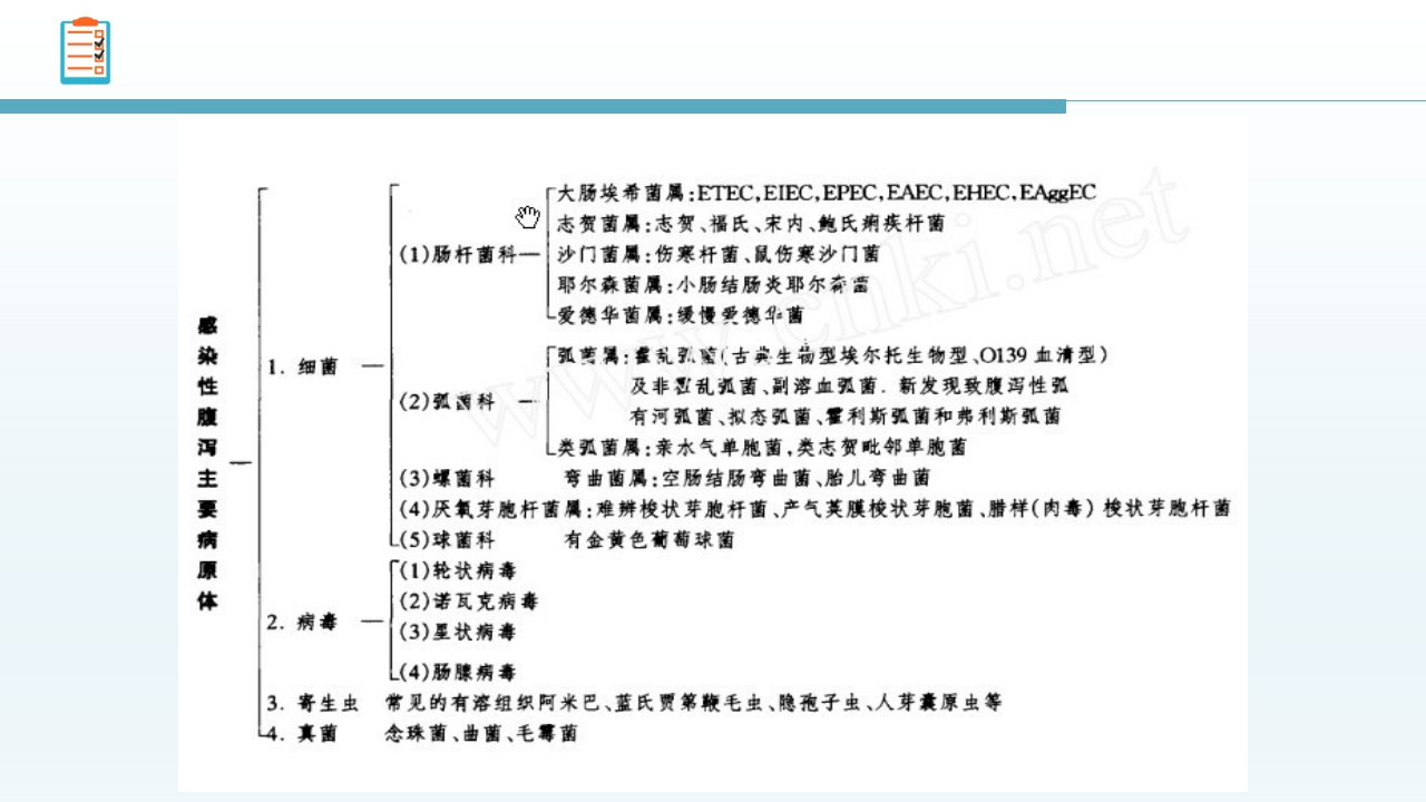 感染性腹泻护理查房PPT课件8