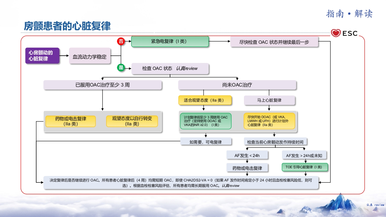 2024·ESC心房颤动管理指南解读PPT课件·第二部分5