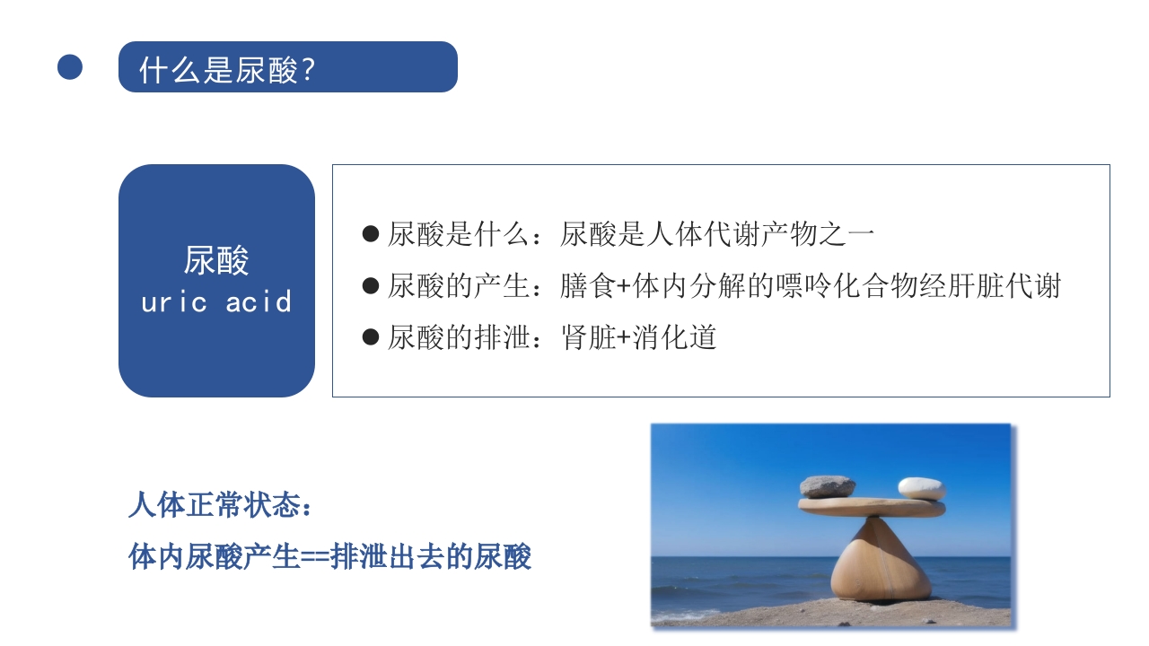 成人高尿酸血症与痛风食养指南(2024)PPT课件6