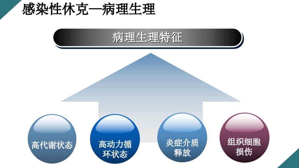 感染性休克的诊断与治疗PPT课件12