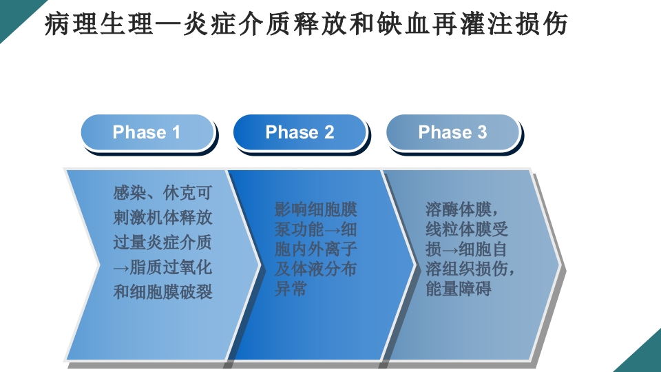 感染性休克的诊断与治疗PPT课件16
