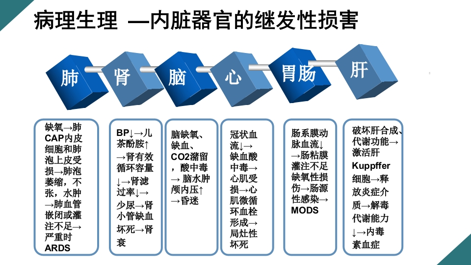 感染性休克的诊断与治疗PPT课件17