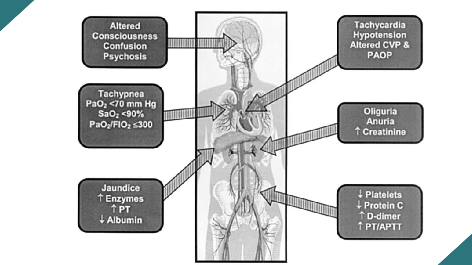 感染性休克的诊断与治疗PPT课件18