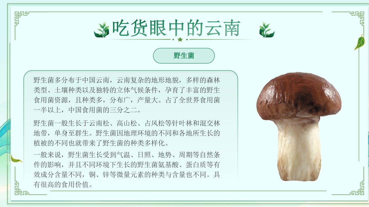 梦幻之旅七彩云南旅游旅行宣传PPT课件18