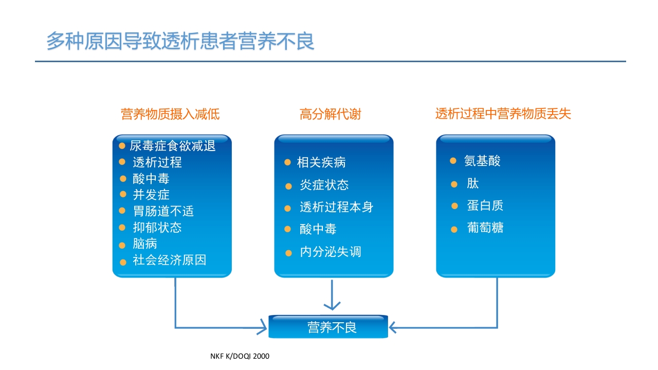 血液透析患者营养管理PPT课件11