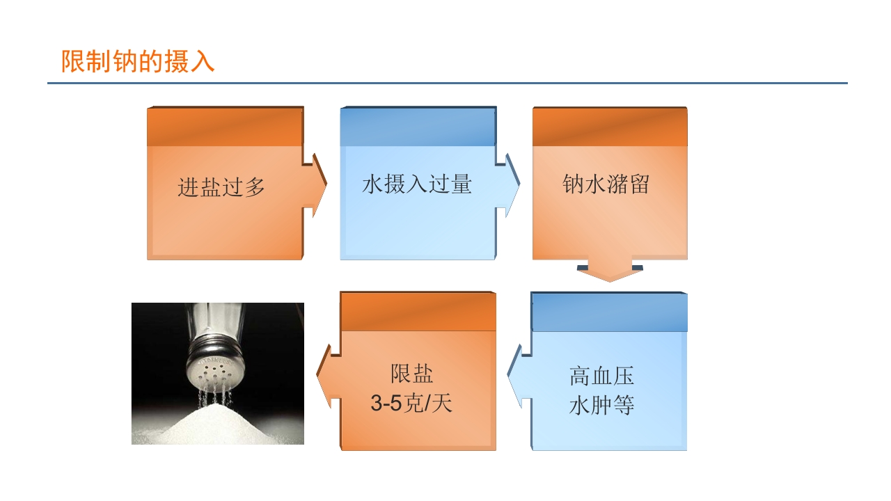 血液透析患者营养管理PPT课件28