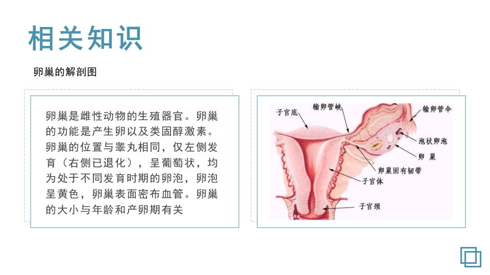 卵巢囊肿护理教学查房PPT课件3