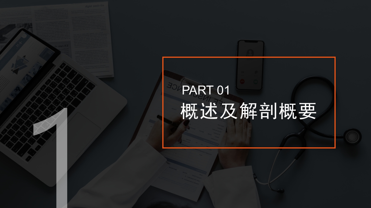 腰椎间盘突出症护理查房PPT课件3