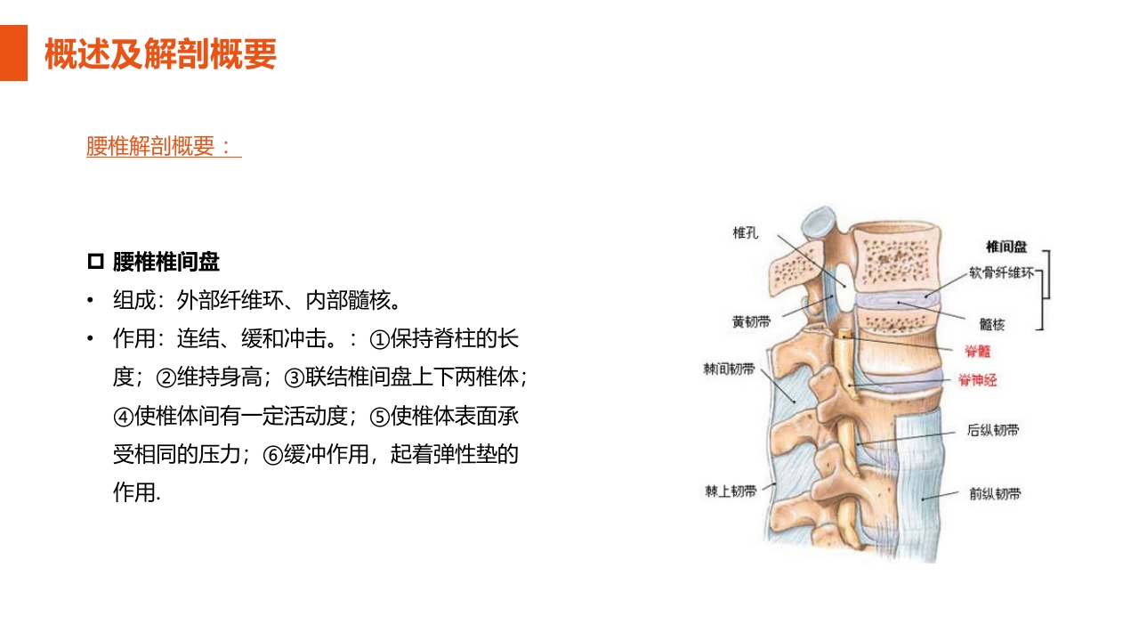 腰椎间盘突出症护理查房PPT课件6