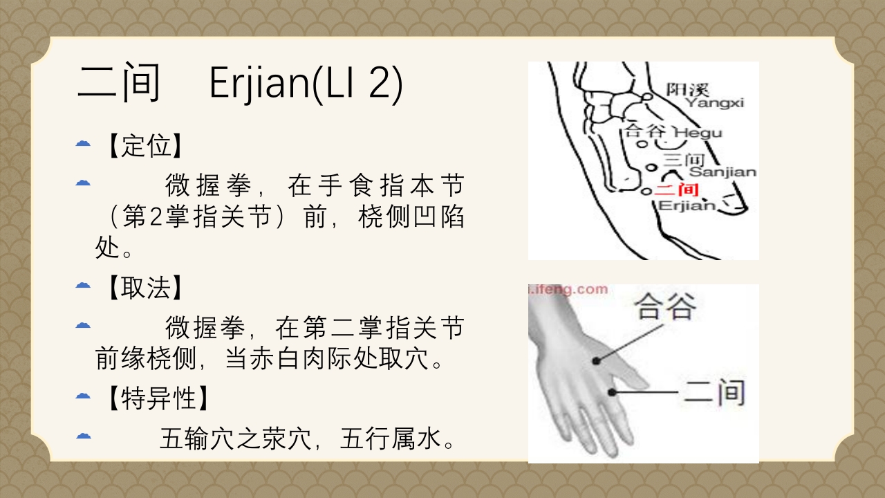 中医经络之《手阳明大肠经》PPT课件12