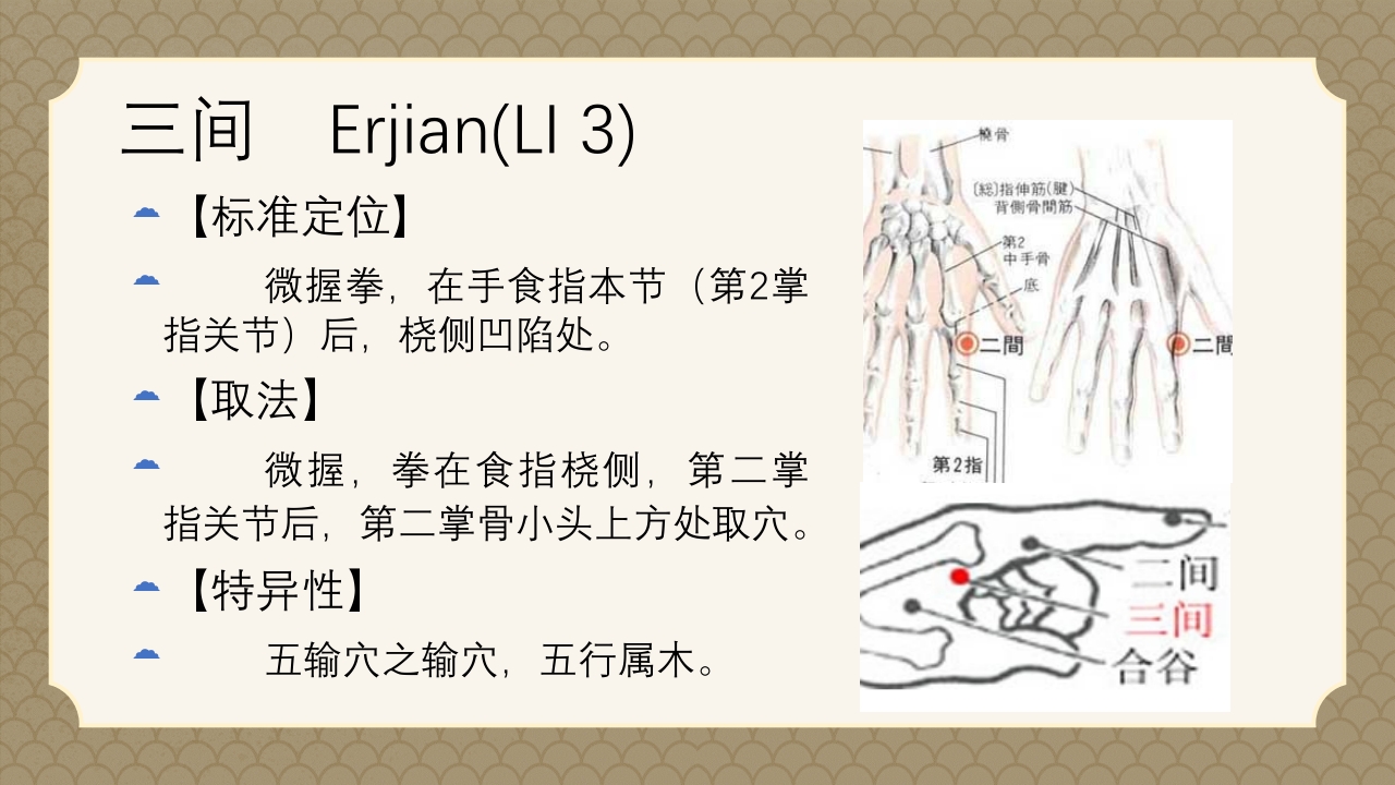 中医经络之《手阳明大肠经》PPT课件15