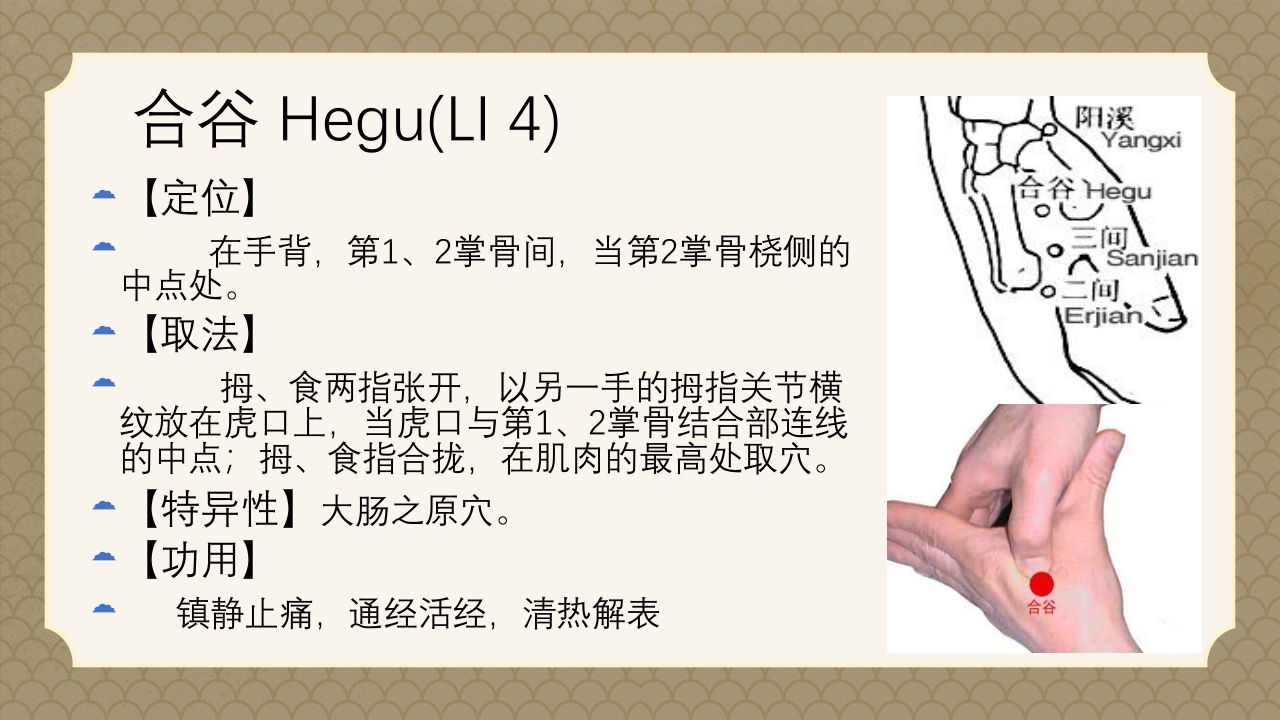 中医经络之《手阳明大肠经》PPT课件18