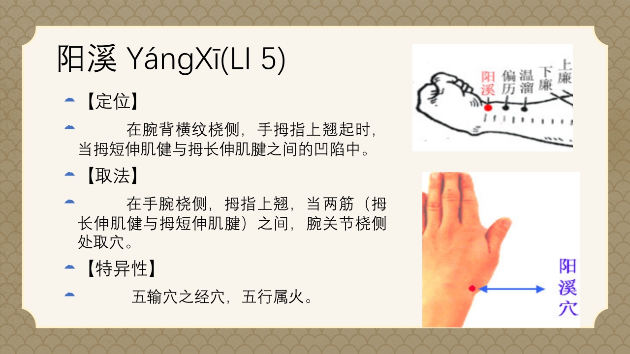 中医经络之《手阳明大肠经》PPT课件21