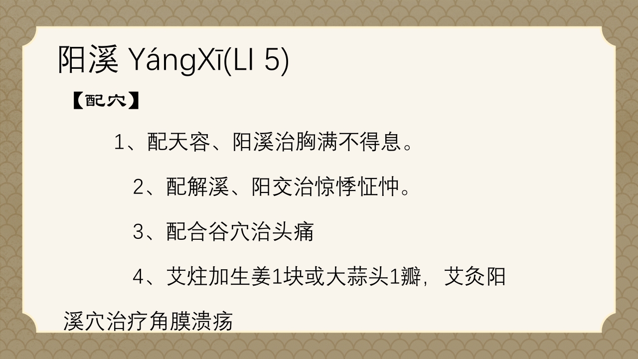 中医经络之《手阳明大肠经》PPT课件23