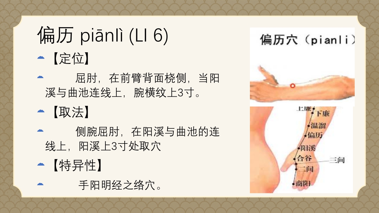 中医经络之《手阳明大肠经》PPT课件24