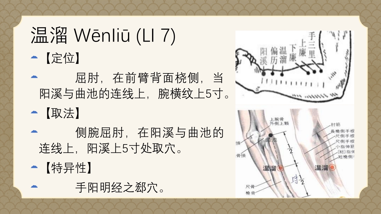 中医经络之《手阳明大肠经》PPT课件27