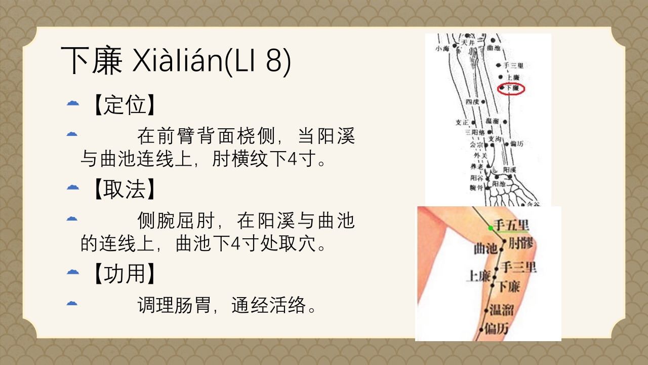 中医经络之《手阳明大肠经》PPT课件30