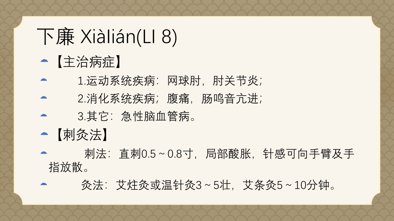 中医经络之《手阳明大肠经》PPT课件31