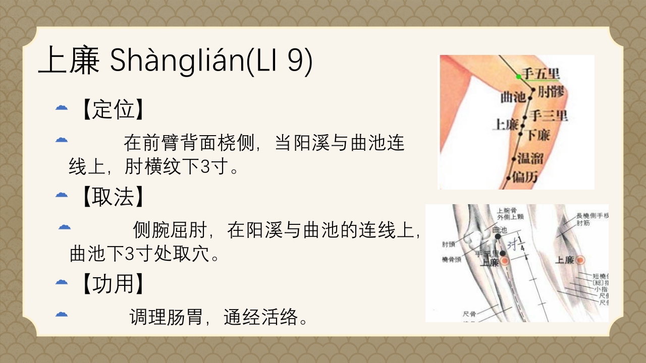 中医经络之《手阳明大肠经》PPT课件33