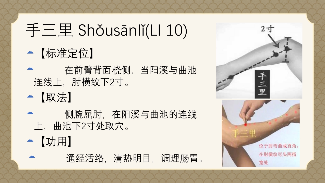 中医经络之《手阳明大肠经》PPT课件36