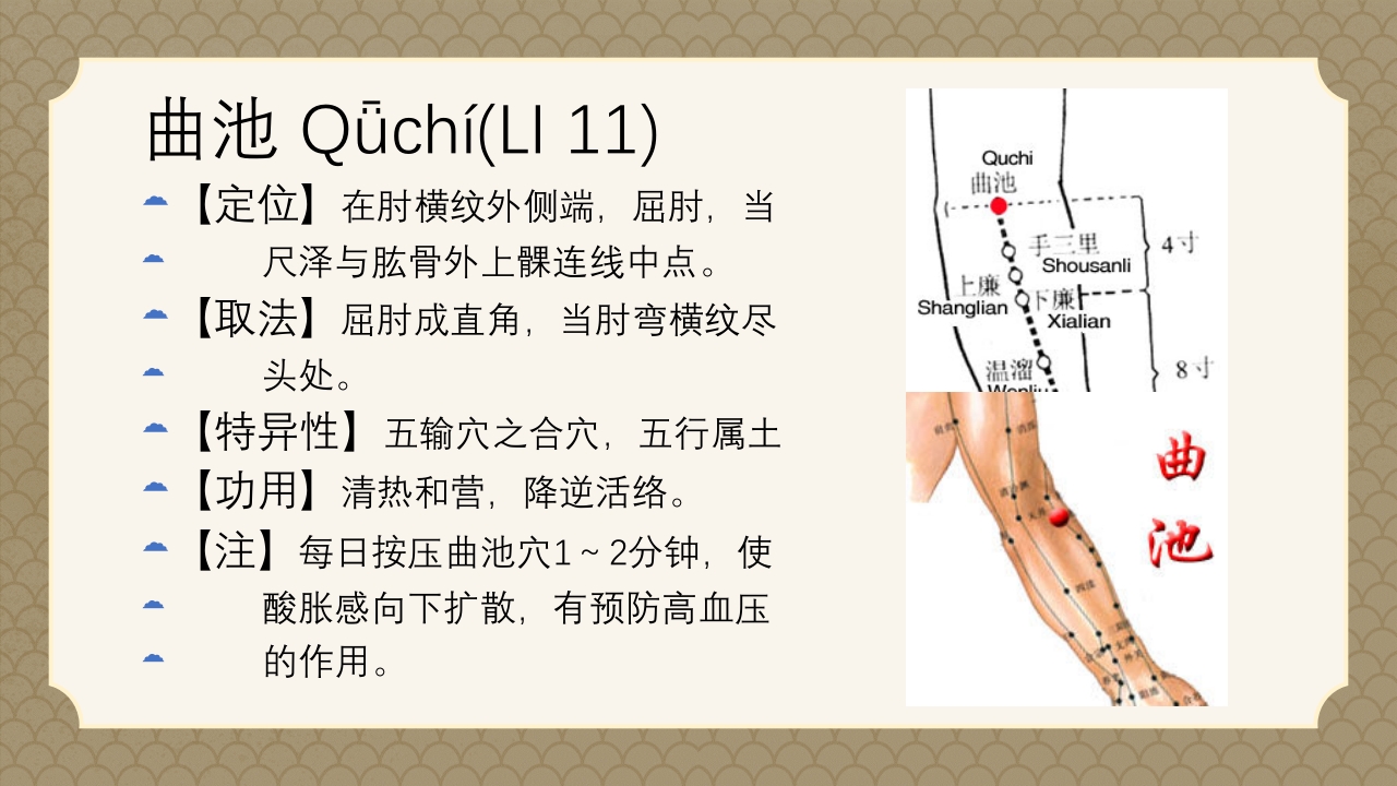 中医经络之《手阳明大肠经》PPT课件39